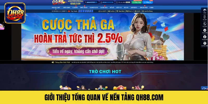Giới Thiệu Tổng Quan Về Nền Tảng QH88.COM